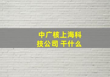 中广核上海科技公司 干什么